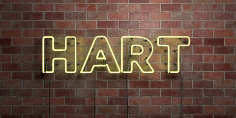 HART - fluorescent Neon tube Sign on brickwork - Front view - 3D rendered royalty free stock picture. Can be used for online banner ads and direct mailers..