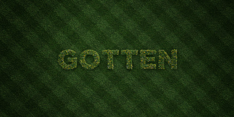 GOTTEN - fresh Grass letters with flowers and dandelions - 3D rendered royalty free stock image. Can be used for online banner ads and direct mailers..