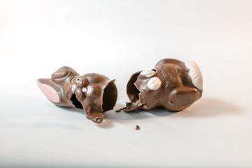 Broken chocolate Easter Bunny fallen smashed in pieces against a white backdrop floor