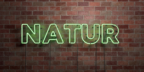 NATUR - fluorescent Neon tube Sign on brickwork - Front view - 3D rendered royalty free stock picture. Can be used for online banner ads and direct mailers..