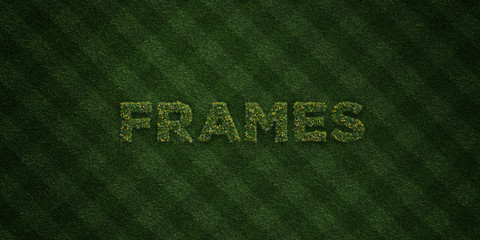 FRAMES - fresh Grass letters with flowers and dandelions - 3D rendered royalty free stock image. Can be used for online banner ads and direct mailers..