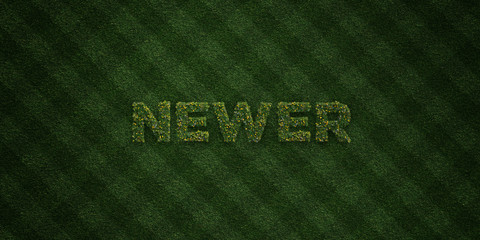 NEWER - fresh Grass letters with flowers and dandelions - 3D rendered royalty free stock image. Can be used for online banner ads and direct mailers..