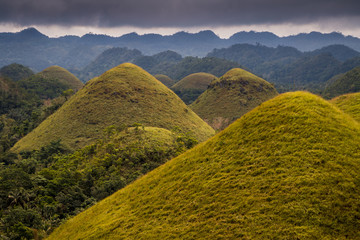 Filipiny Czekoladowe Wzgórza