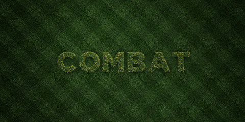 COMBAT - fresh Grass letters with flowers and dandelions - 3D rendered royalty free stock image. Can be used for online banner ads and direct mailers..