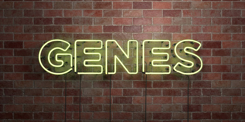Obraz premium GENES - fluorescent Neon tube Sign on brickwork - Front view - 3D rendered royalty free stock picture. Can be used for online banner ads and direct mailers..