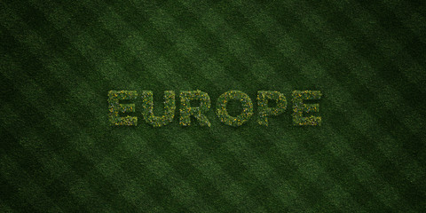 EUROPE - fresh Grass letters with flowers and dandelions - 3D rendered royalty free stock image. Can be used for online banner ads and direct mailers..