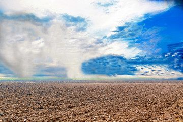 the furrows of a plowed field with blue sky