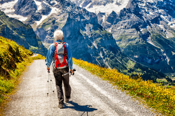 Active senior hiker on a trail in Switzerland in the Swiss Alps facing a spectacular view of steep mountains and wild flowers