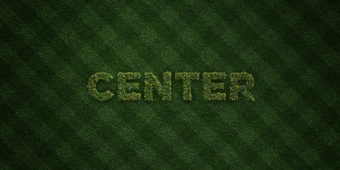 CENTER - fresh Grass letters with flowers and dandelions - 3D rendered royalty free stock image. Can be used for online banner ads and direct mailers..