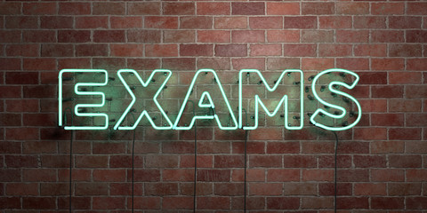 Obraz premium EXAMS - fluorescent Neon tube Sign on brickwork - Front view - 3D rendered royalty free stock picture. Can be used for online banner ads and direct mailers..