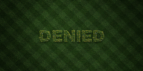 DENIED - fresh Grass letters with flowers and dandelions - 3D rendered royalty free stock image. Can be used for online banner ads and direct mailers..