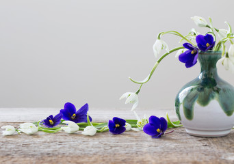 snowdrops and violets in a vase on a white background