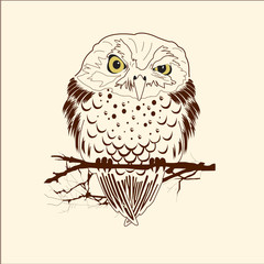 Hand drawn black white illustration owl fly bird. Art Coloring book owl .