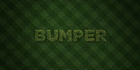 BUMPER - fresh Grass letters with flowers and dandelions - 3D rendered royalty free stock image. Can be used for online banner ads and direct mailers..