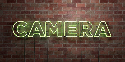 CAMERA - fluorescent Neon tube Sign on brickwork - Front view - 3D rendered royalty free stock picture. Can be used for online banner ads and direct mailers..