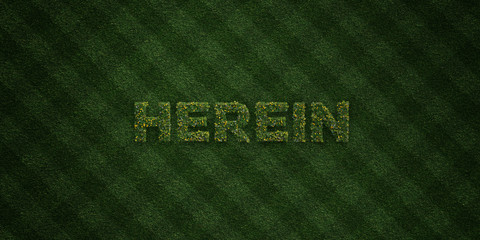 HEREIN - fresh Grass letters with flowers and dandelions - 3D rendered royalty free stock image. Can be used for online banner ads and direct mailers..