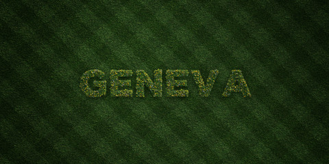 GENEVA - fresh Grass letters with flowers and dandelions - 3D rendered royalty free stock image. Can be used for online banner ads and direct mailers..