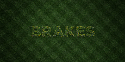 BRAKES - fresh Grass letters with flowers and dandelions - 3D rendered royalty free stock image. Can be used for online banner ads and direct mailers..