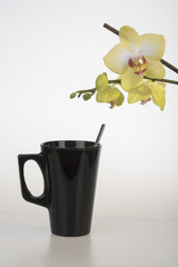 Black coffee cup and yellow orchid
