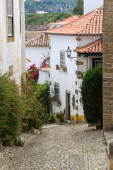 Fototapeta na wymiar Medieval city of Obidos