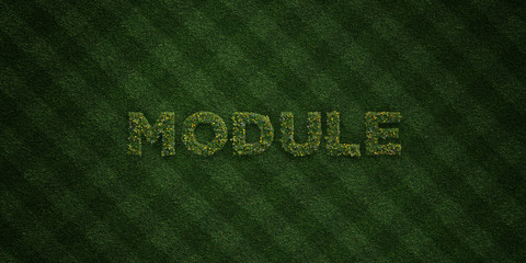 MODULE - fresh Grass letters with flowers and dandelions - 3D rendered royalty free stock image. Can be used for online banner ads and direct mailers..