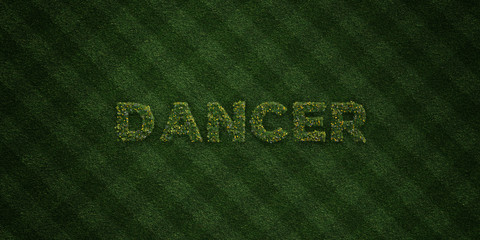 DANCER - fresh Grass letters with flowers and dandelions - 3D rendered royalty free stock image. Can be used for online banner ads and direct mailers..