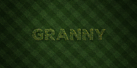 GRANNY - fresh Grass letters with flowers and dandelions - 3D rendered royalty free stock image. Can be used for online banner ads and direct mailers..