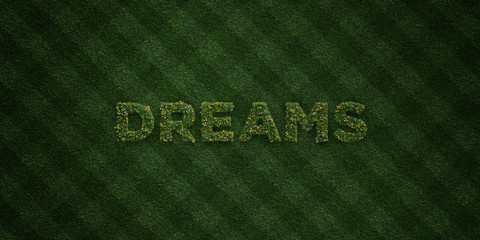 DREAMS - fresh Grass letters with flowers and dandelions - 3D rendered royalty free stock image. Can be used for online banner ads and direct mailers..