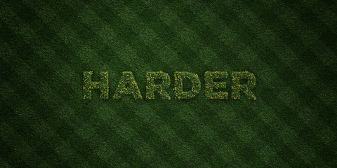 HARDER - fresh Grass letters with flowers and dandelions - 3D rendered royalty free stock image. Can be used for online banner ads and direct mailers..