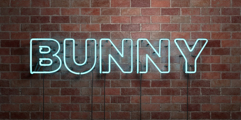 BUNNY - fluorescent Neon tube Sign on brickwork - Front view - 3D rendered royalty free stock picture. Can be used for online banner ads and direct mailers..