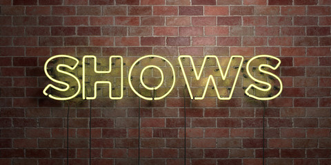 SHOWS - fluorescent Neon tube Sign on brickwork - Front view - 3D rendered royalty free stock picture. Can be used for online banner ads and direct mailers..