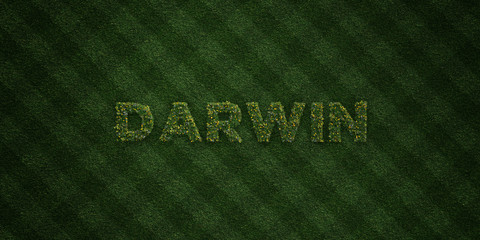 DARWIN - fresh Grass letters with flowers and dandelions - 3D rendered royalty free stock image. Can be used for online banner ads and direct mailers..