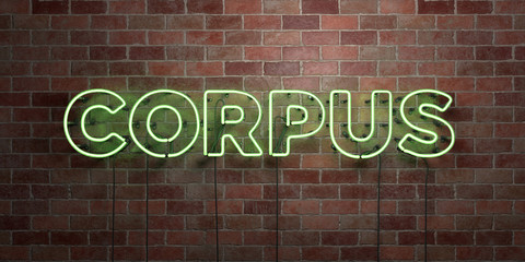 Obraz premium CORPUS - fluorescent Neon tube Sign on brickwork - Front view - 3D rendered royalty free stock picture. Can be used for online banner ads and direct mailers..