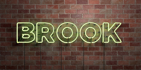 BROOK - fluorescent Neon tube Sign on brickwork - Front view - 3D rendered royalty free stock picture. Can be used for online banner ads and direct mailers..