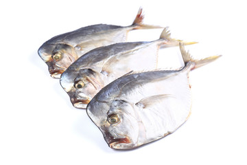 Three Vomero  fish  on a white background (isolated). Close up