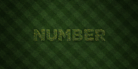 NUMBER - fresh Grass letters with flowers and dandelions - 3D rendered royalty free stock image. Can be used for online banner ads and direct mailers..