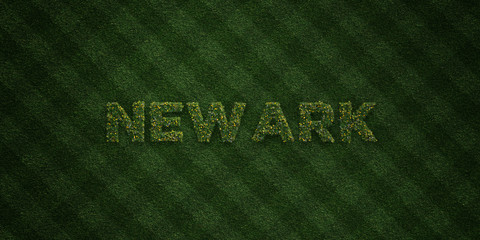 NEWARK - fresh Grass letters with flowers and dandelions - 3D rendered royalty free stock image. Can be used for online banner ads and direct mailers..