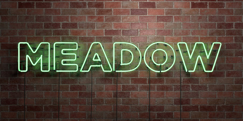 MEADOW - fluorescent Neon tube Sign on brickwork - Front view - 3D rendered royalty free stock picture. Can be used for online banner ads and direct mailers..