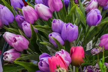 Beautiful floral decorations