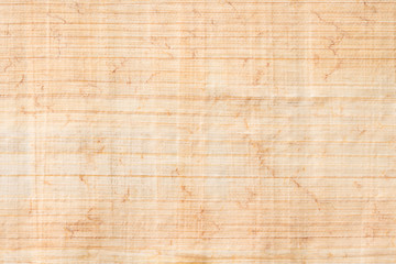 Papyrus paper texture  