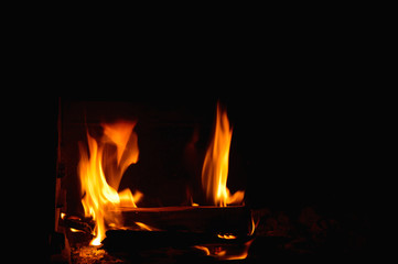 Natural wood camp fire