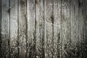 The old wooden walls, black and white Vintage background