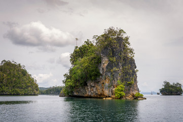 Fototapeta na wymiar Raja Ampat Islands in West Papua, Indonesia. Raja Ampat is an archipelago comprising over 1,500 small islands and is the part of Coral Triangle which contains the richest marine biodiversity on earth.