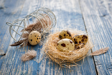 quail eggs on a blue wooden background