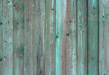 Several of the old board with peeling green paint. Fragment of the fence