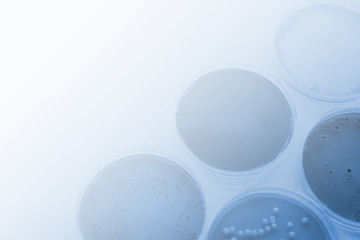 研究イメージ　微生物学