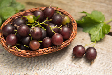 Berry black currant in a basket on wooden background