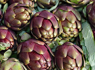 artichokes for sale in the southern Italian market