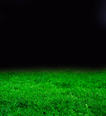 Fototapeta na wymiar Tempalte with dark night and beautiful green grass