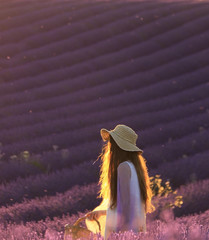 Fototapeta na wymiar Picking Lavender Flowers